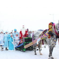 Чишминский район принял участие в Параде конно-санных экипажей